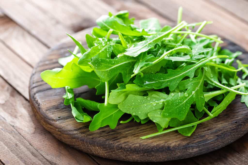 Arugula 