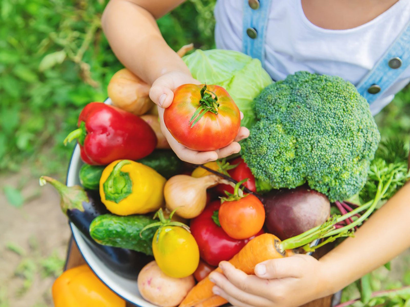 Fresh Vegetables