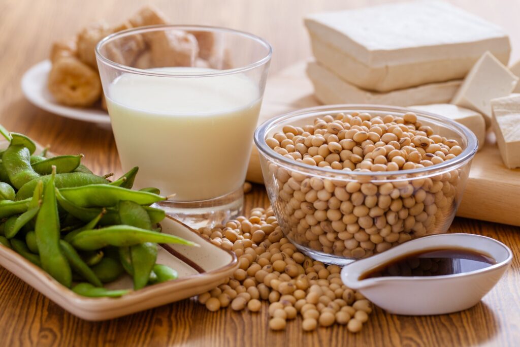 Soy Products 