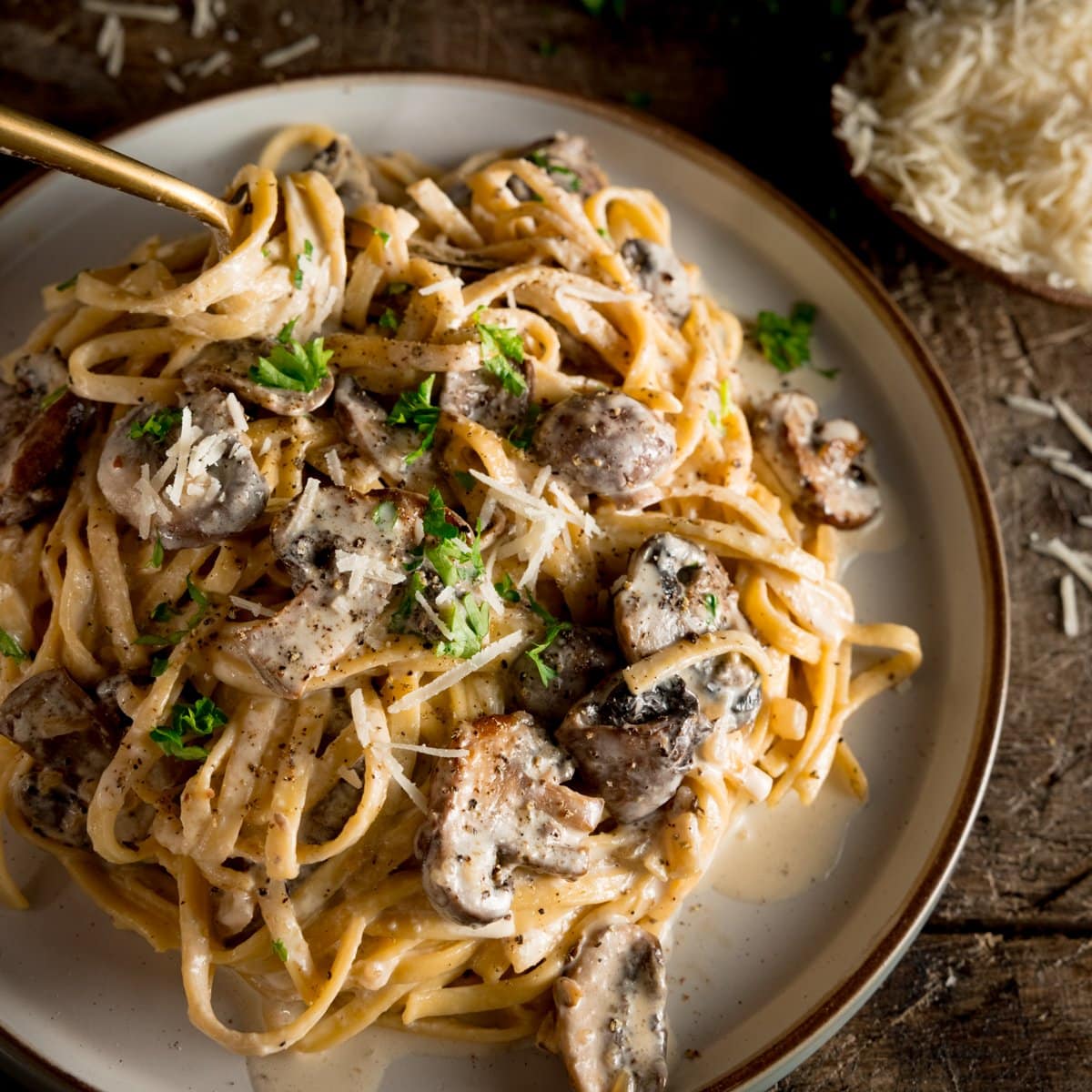 VEGETARIAN CREAMY MUSHROOM PASTA